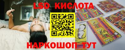 ешки Бердск
