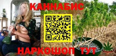 ешки Бердск