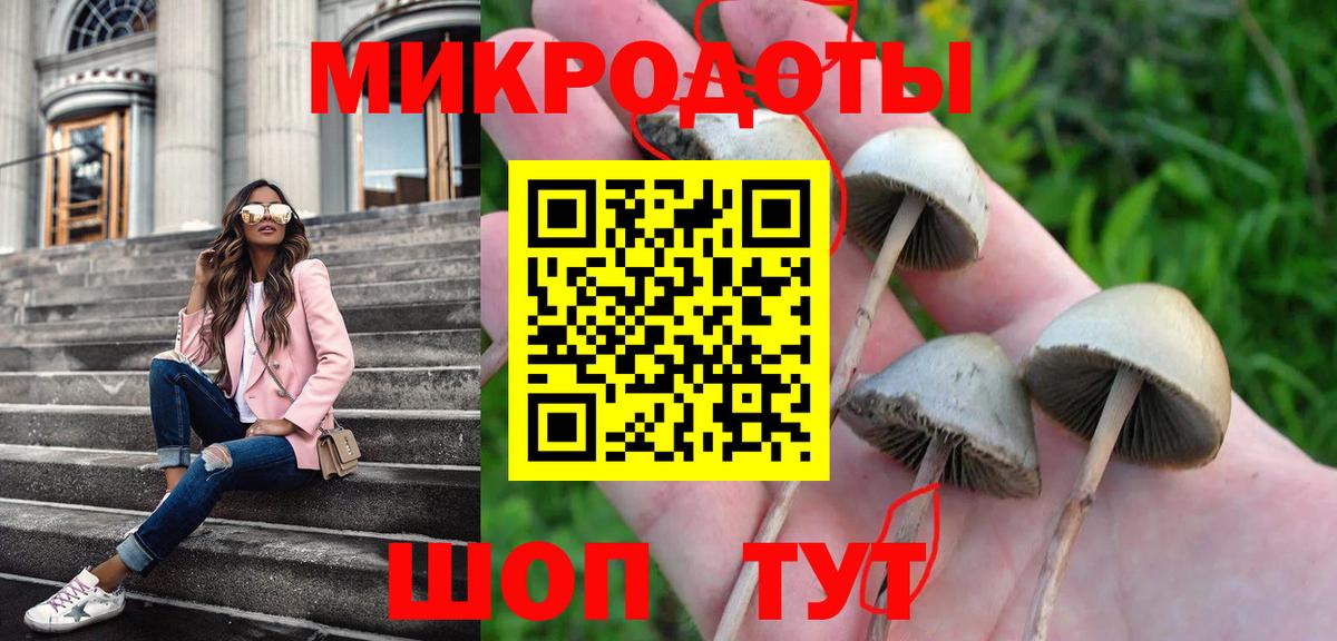 Галлюциногенные грибы Cubensis Асино