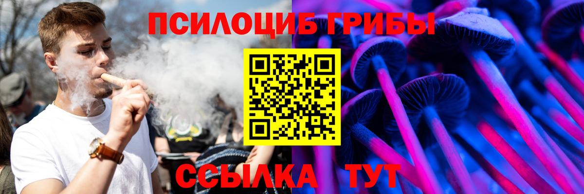 Асино  Псилоцибиновые грибы Cubensis  Вход с VPN 